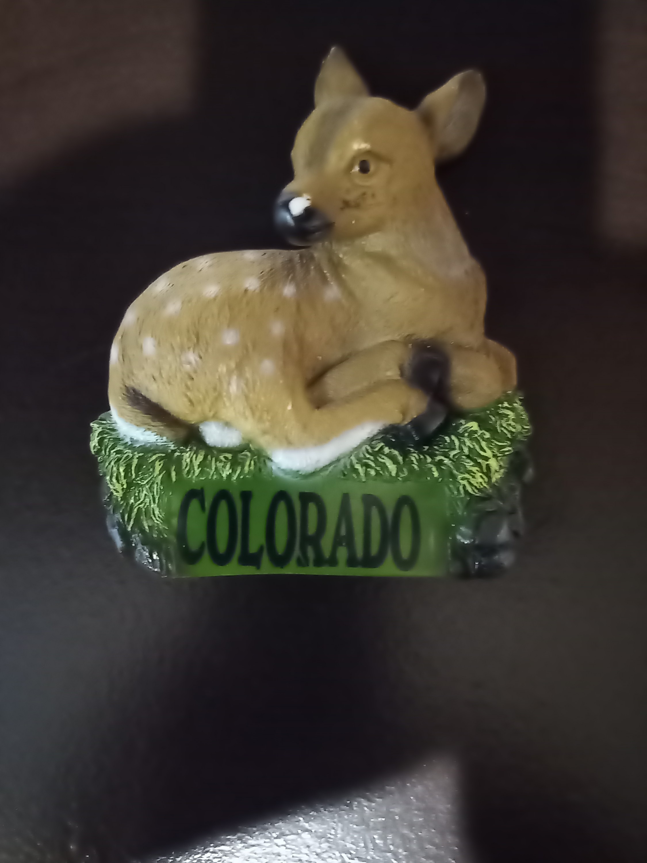 Colorado deer Bamby fridge magnet rare