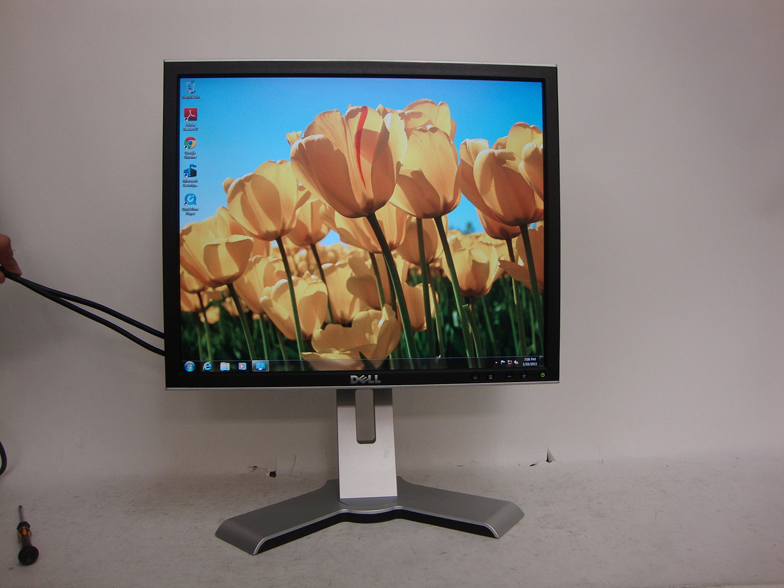 Dell 1908FP 19