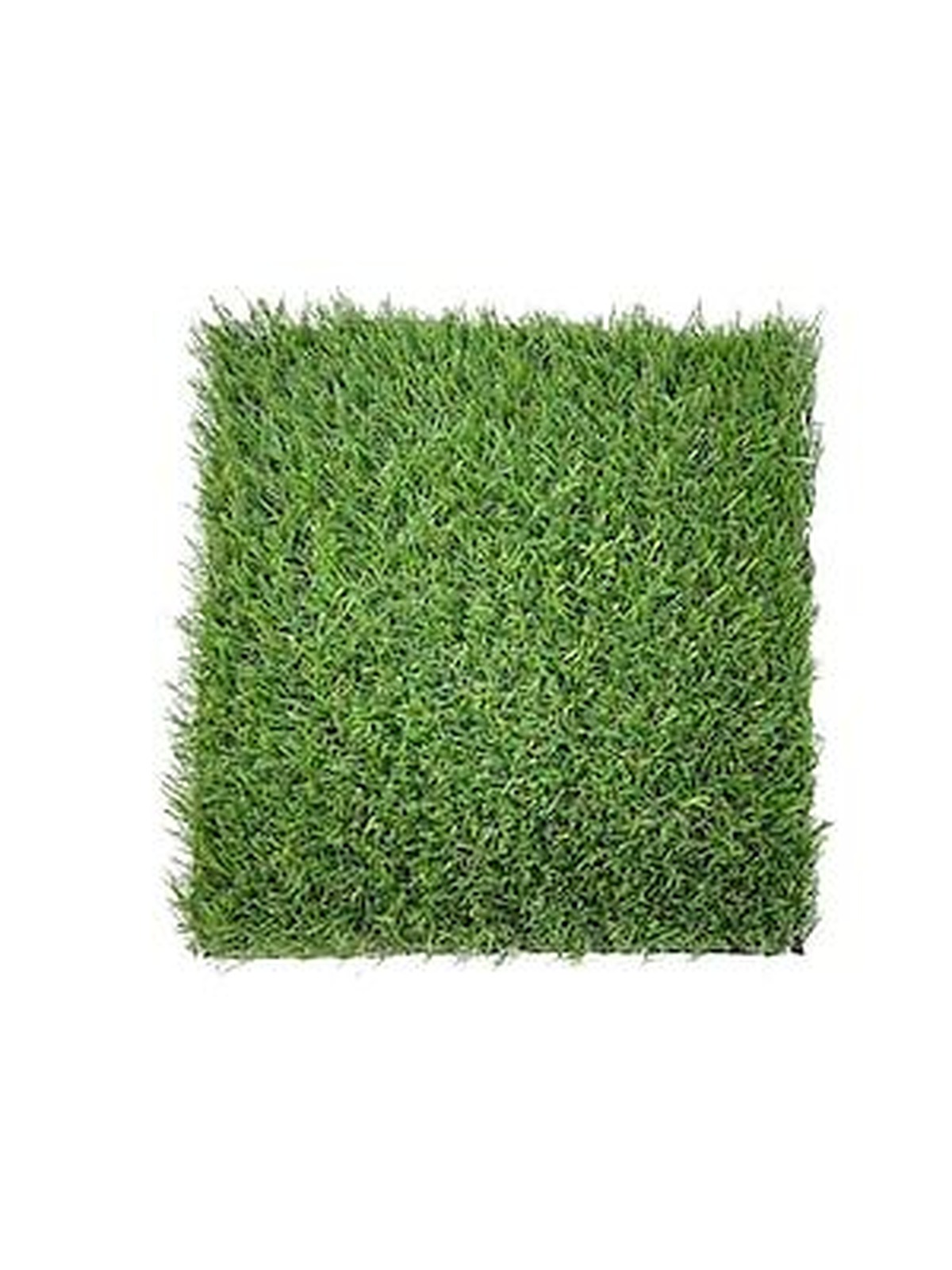 72 inch x 96 inch SBR Latex Precut Artificial Green Grass Turf